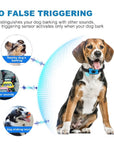 BellMeister – Vibrations-Anti-Bell-Halsband für Gøende Hunde