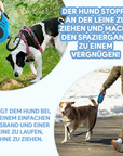 Robuste 5m Anti-Zieh Hundeleine für maximale Kontrolle