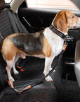Buntes Sicherheits-Gurtsystem für Hunde – Verstellbar und Stoßdämpfend