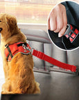 SicherGurt – Robuster Sicherheitsgurt für Hunde im Auto