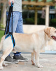 Hilfe für Ihren Vierbeiner – Verstellbarer Hundegurt für schwache oder alte Hinterbeine