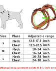 Robuster Echtleder-Hundegeschirr für Training und Spaziergänge
