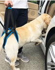 Hilfe für Ihren Vierbeiner – Verstellbarer Hundegurt für schwache oder alte Hinterbeine