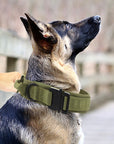 K9 TacticalPro – Verstellbares Hundehalsband mit Leine, Perfekt für Training und Outdoor-Aktivitäten