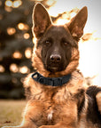 K9 TacticalPro – Verstellbares Hundehalsband mit Leine, Perfekt für Training und Outdoor-Aktivitäten