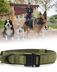 K9 TacticalPro – Verstellbares Hundehalsband mit Leine, Perfekt für Training und Outdoor-Aktivitäten