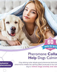 Beruhigungshalsband für Hunde – Stressreduzierung durch Pheromone