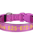 Leo Hundehalsband - Besticktes Nylonhalsband mit reflektierendem Design und individueller Gravur