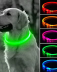 GlowGuard - Leuchtendes LED-Hundehalsband mit USB-Aufladung