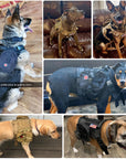 K9 Tactical Hundegeschirr mit Leine – Robustes Military-Set für Training und Kontrolle