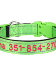 Leo Hundehalsband - Besticktes Nylonhalsband mit reflektierendem Design und individueller Gravur