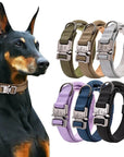 TactiGuard - Langlebiges Militär-Hundehalsband