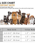 K9Control - Taktisches Hundehalsband mit Griff für mittlere und große Hunde