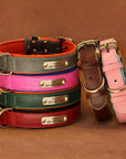 Einzigartiges Hundehalsband mit Namen