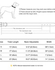 Einzigartiges Hundehalsband mit Namen