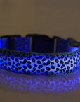 GlowPup – LED Hundehalsband für maximale Sichtbarkeit und Sicherheit bei Nacht