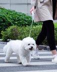 Automatische Hundeleine – 3m Einziehbare, Robuste Leine für Hunde bis 30kg