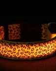GlowPup – LED Hundehalsband für maximale Sichtbarkeit und Sicherheit bei Nacht