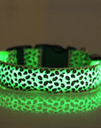 GlowPup – LED Hundehalsband für maximale Sichtbarkeit und Sicherheit bei Nacht