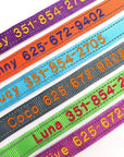 Leo Hundehalsband - Besticktes Nylonhalsband mit reflektierendem Design und individueller Gravur