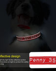 Leo Hundehalsband - Besticktes Nylonhalsband mit reflektierendem Design und individueller Gravur