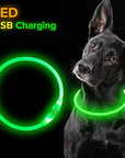 GlowGuard - Leuchtendes LED-Hundehalsband mit USB-Aufladung