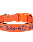 Leo Hundehalsband - Besticktes Nylonhalsband mit reflektierendem Design und individueller Gravur