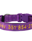 Leo Hundehalsband - Besticktes Nylonhalsband mit reflektierendem Design und individueller Gravur
