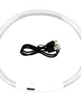 GlowGuard - Leuchtendes LED-Hundehalsband mit USB-Aufladung