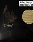 PawTactic Militärischer Hundehalsband