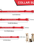 Leo Hundehalsband - Besticktes Nylonhalsband mit reflektierendem Design und individueller Gravur