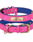 Einzigartiges Hundehalsband mit Namen