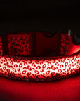 GlowPup – LED Hundehalsband für maximale Sichtbarkeit und Sicherheit bei Nacht