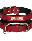 Einzigartiges Hundehalsband mit Namen