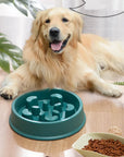 PetSnack - Anti-Schling Fressnapf für Haustiere aus robustem Kunststoff