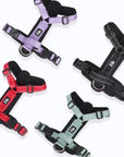 SafePaw - Anti-Ausbruchsicheres Hundegeschirr mit Griff und reflektierendem Design