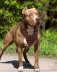 Luxus Hunde Geschirr - Robustes PU-Leder Hundegeschirr mit Spikes und Nieten
