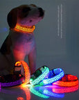 GlowPup – LED Hundehalsband für maximale Sichtbarkeit und Sicherheit bei Nacht