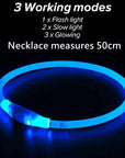 GlowGuard - Leuchtendes LED-Hundehalsband mit USB-Aufladung