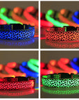 GlowPup – LED Hundehalsband für maximale Sichtbarkeit und Sicherheit bei Nacht