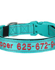 Leo Hundehalsband - Besticktes Nylonhalsband mit reflektierendem Design und individueller Gravur