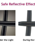 ReflectoGuard – Reflektierende Hundeleine für sicheres Gassigehen und Training