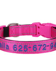 Leo Hundehalsband - Besticktes Nylonhalsband mit reflektierendem Design und individueller Gravur