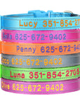 Leo Hundehalsband - Besticktes Nylonhalsband mit reflektierendem Design und individueller Gravur