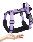 SafePaw - Anti-Ausbruchsicheres Hundegeschirr mit Griff und reflektierendem Design