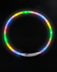 GlowGuard - Leuchtendes LED-Hundehalsband mit USB-Aufladung