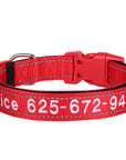 Leo Hundehalsband - Besticktes Nylonhalsband mit reflektierendem Design und individueller Gravur