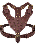 Luxus Hunde Geschirr - Robustes PU-Leder Hundegeschirr mit Spikes und Nieten