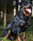 TactiGuard - Multifunktionales Taktisches Hundegeschirr für mittlere und große Hunde