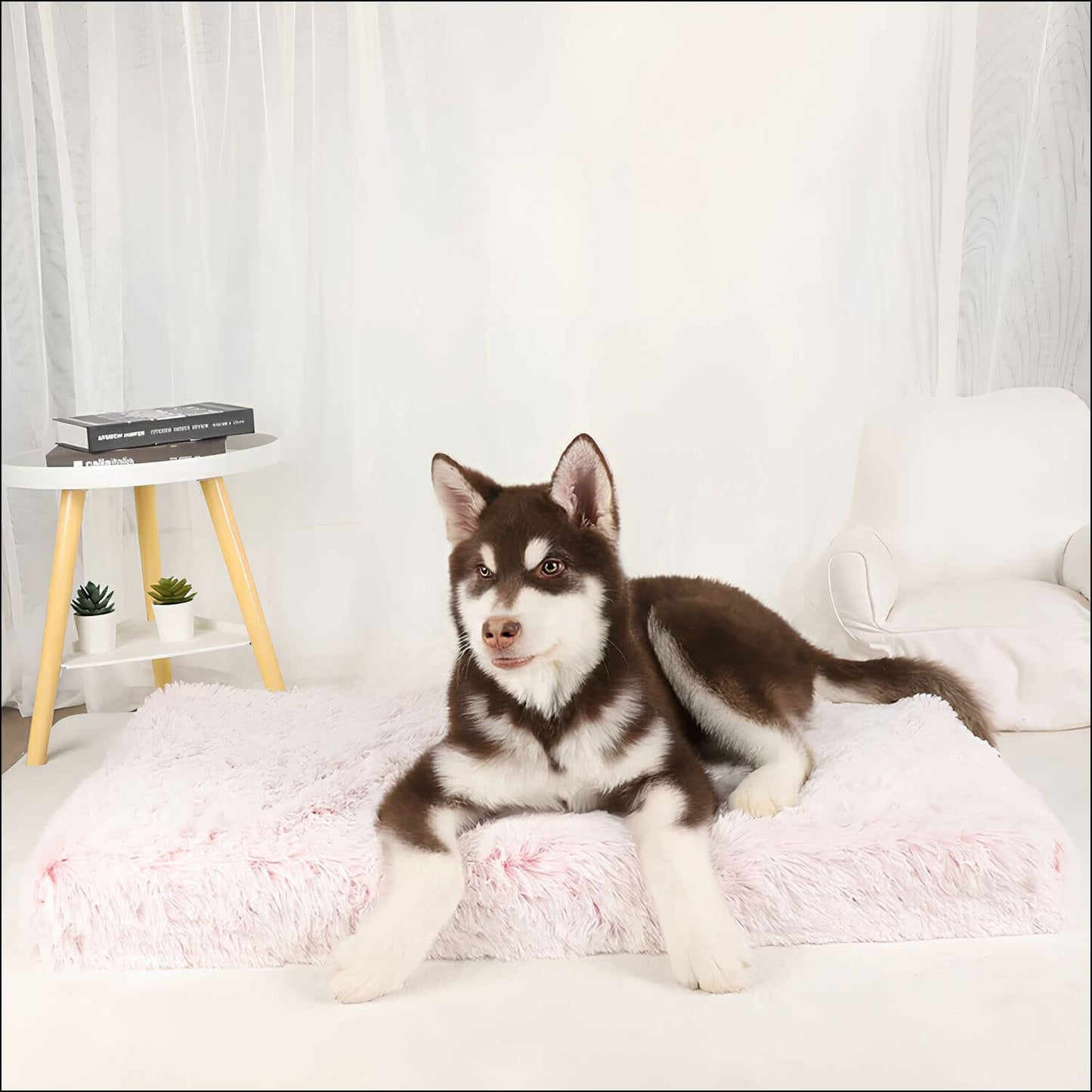 ComfortPaw – Orthopädische Hundematte für gesunden Schlaf und optimale Unterstützung